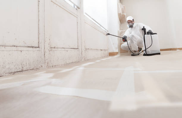 24/7 Emergency Basement Mold Remediation experts in Phoenix, OR